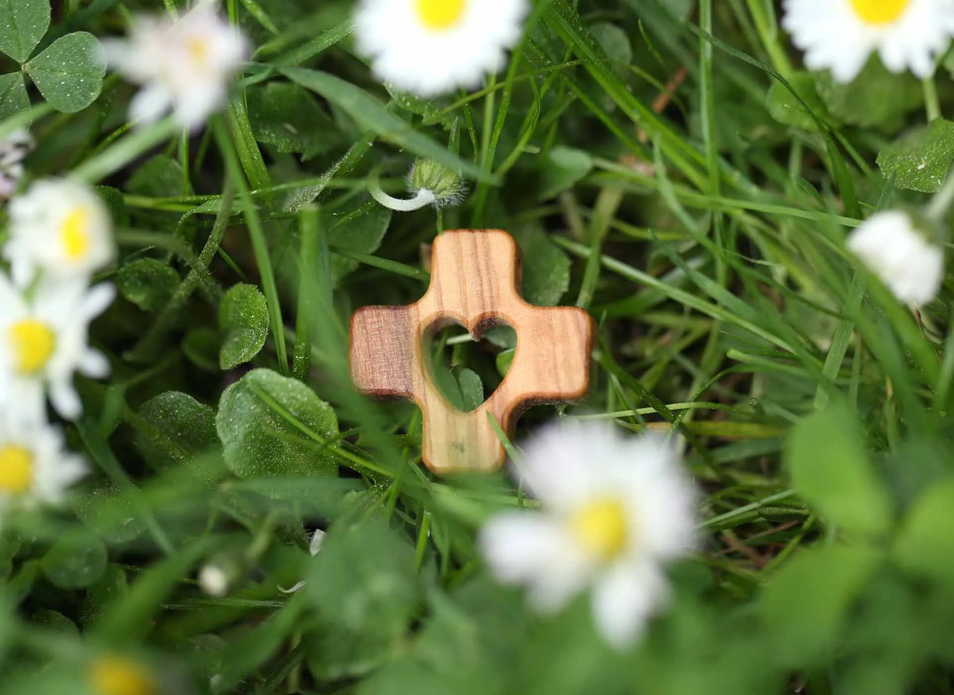 Die Herz Jesu Priester Deutsche Ordensprovinz der Dehonianer